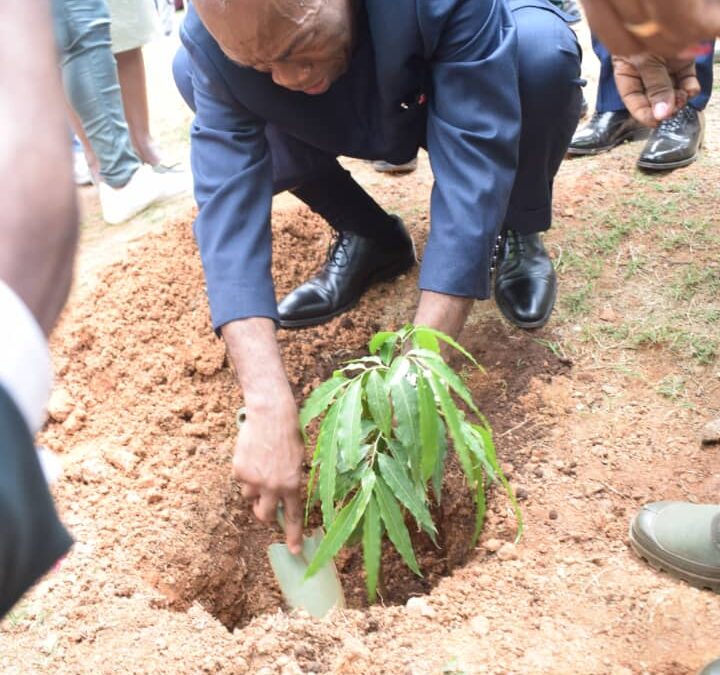 Célébration de la Journée Internationale de l’Arbre au  Cameroun